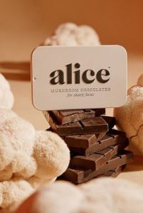 Buy Alice Mushroom Chocolates for Sharp Focus